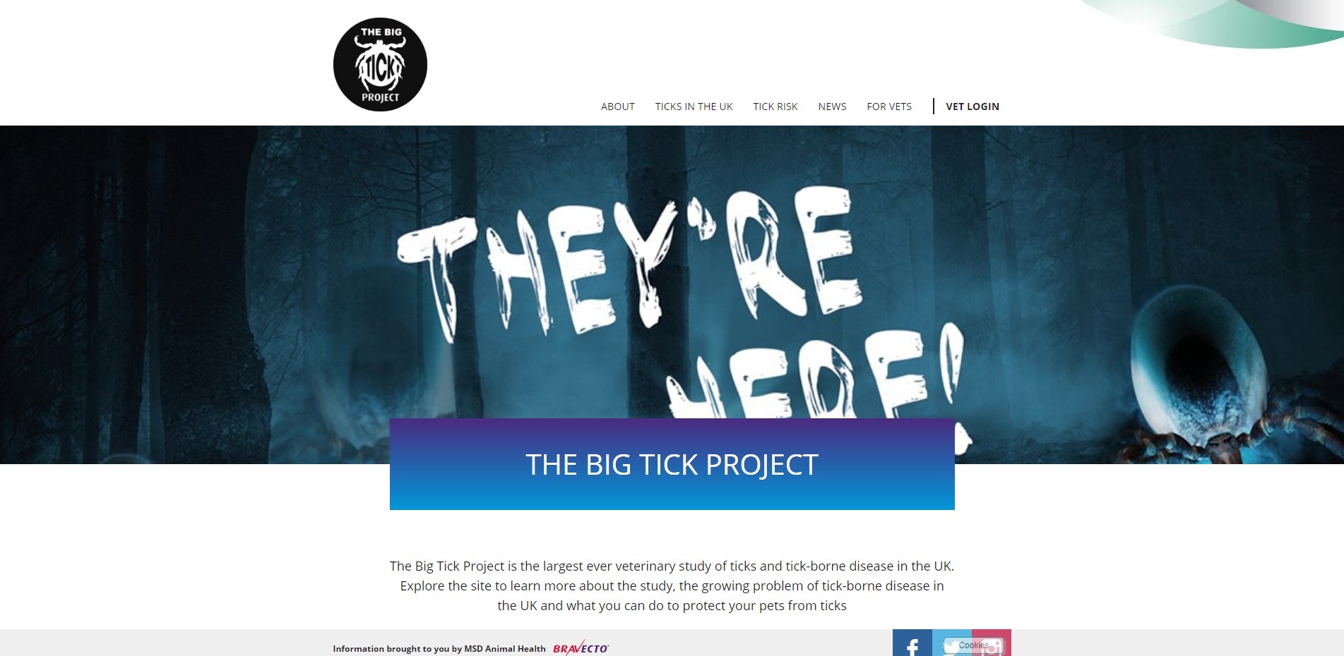 Big Tick Project.jpg